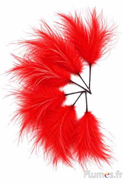 Plume struisvogel 3 veren - hoogte 20 cm - rood